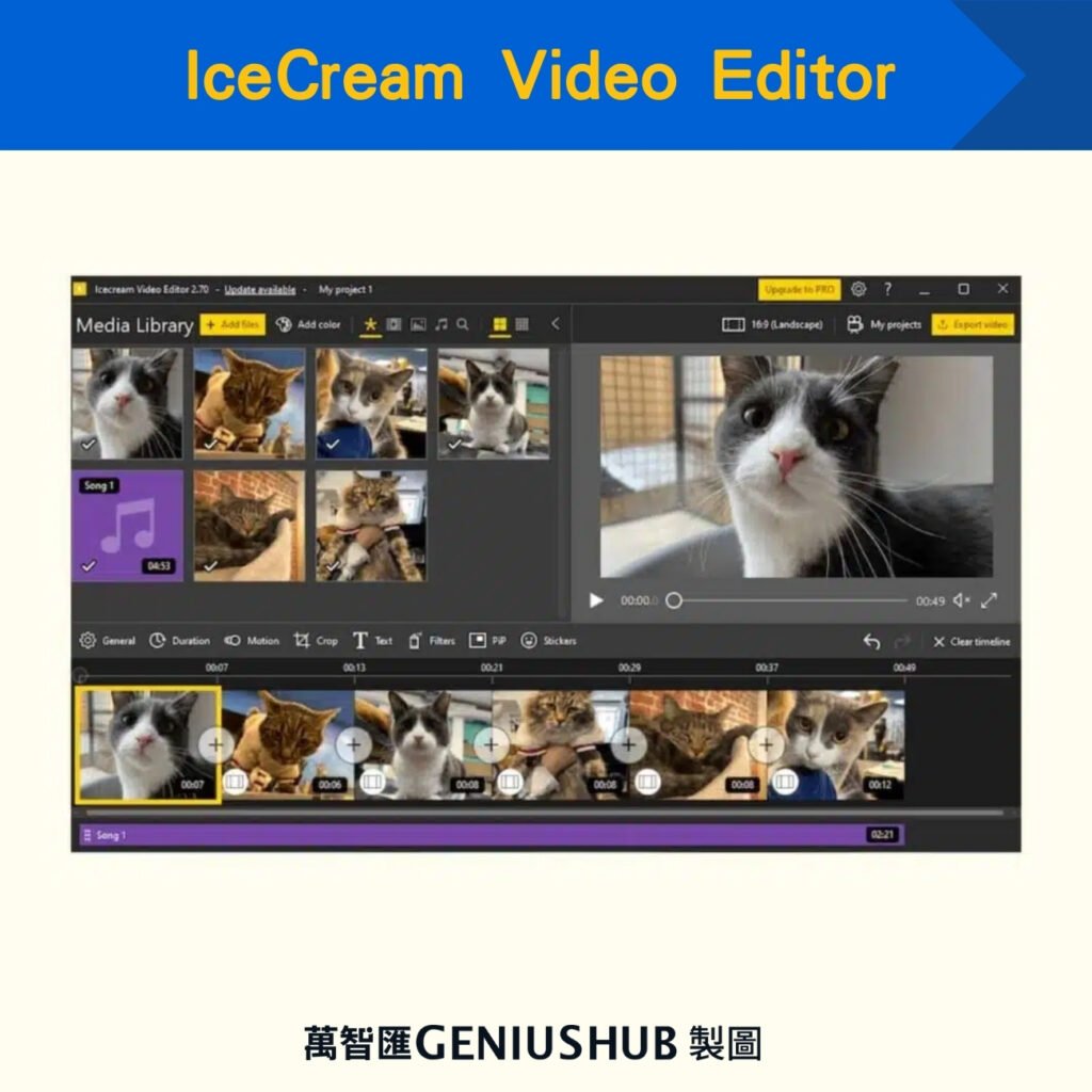 IceCream Video Editor