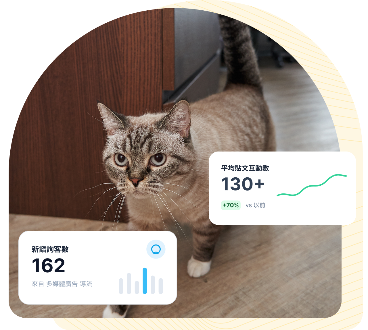 demand gen ads 需求開發廣告2 - 寵物服務：精準生活建議